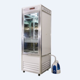 С��������º�ʪ������